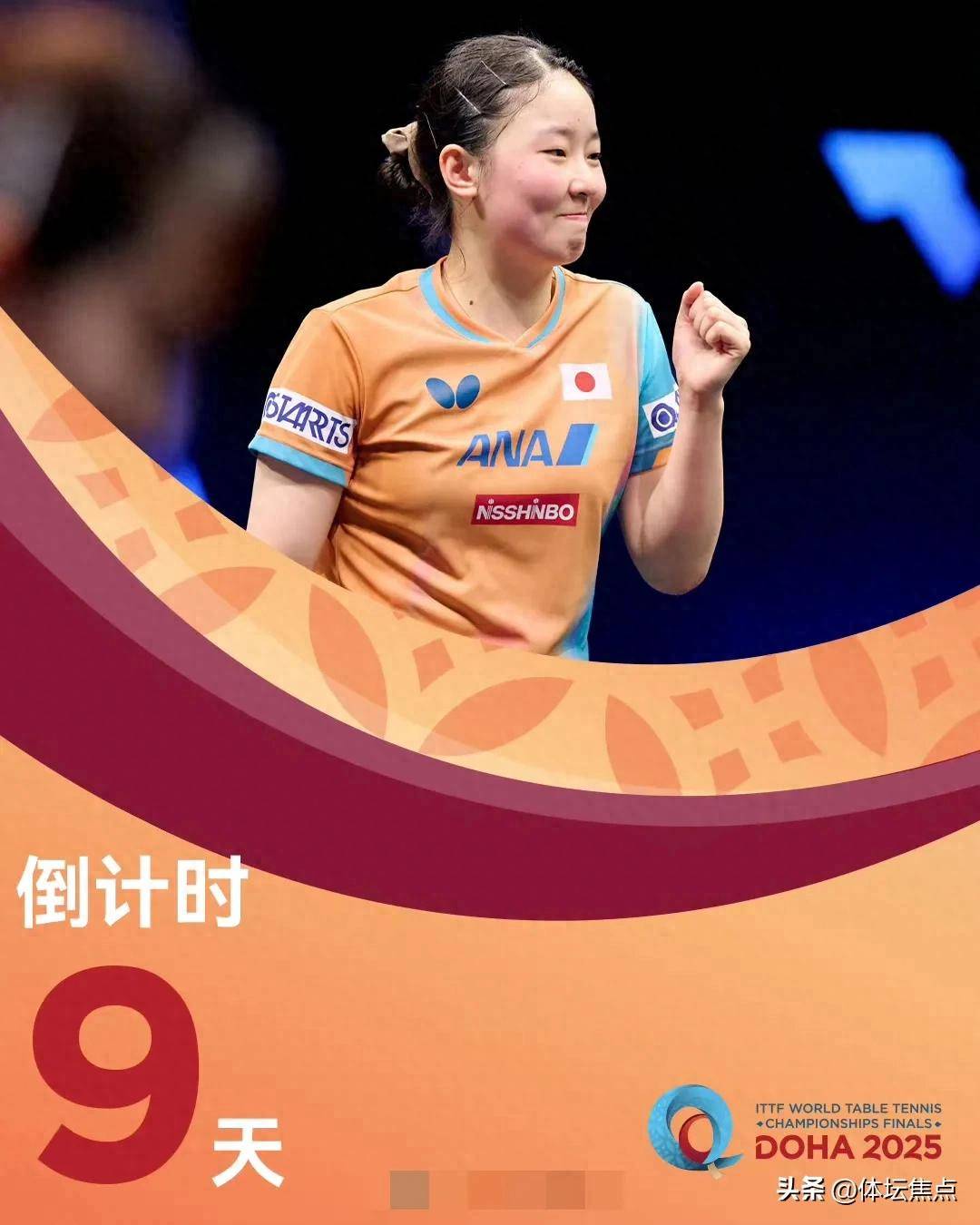 历史维度 历史维度